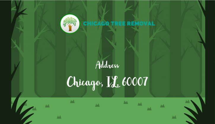 Image for Chicago Tree Removal with ID of: 2305853