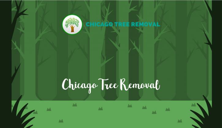 Image for Chicago Tree Removal with ID of: 2305857