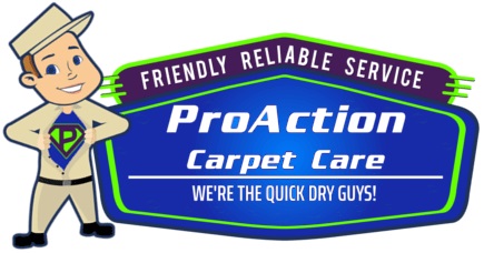 Image for ProAction Carpet Care LLC with ID of: 2307056