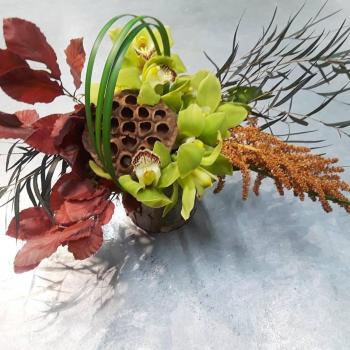 Image for Brown Floral with ID of: 2308018