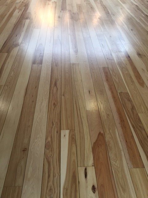 Image for Bay Painting, Inc. with ID of: 2309578