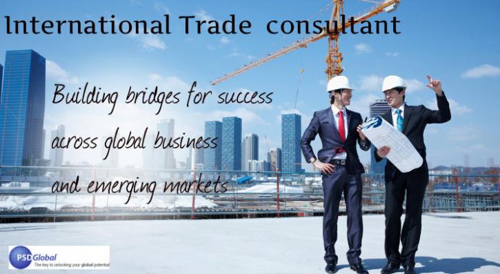 Image for PSD Global with ID of: 2313164
