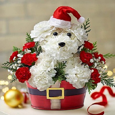 Image for Best Valentine's Day Gift Ideas for Flower Lovers with ID of: 2315314