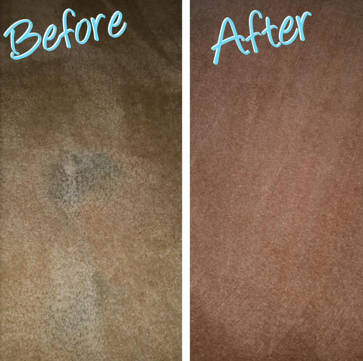 Image for Carpet Cleaning Touch with ID of: 2315430
