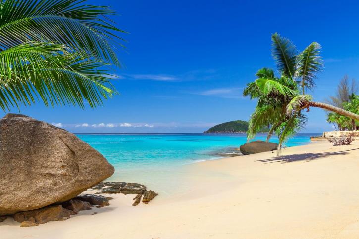 Image for Travelalot with ID of: 2315816