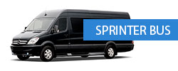 Image for NYC Bus Rental with ID of: 2317095