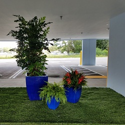Image for Designs By Carmen with ID of: 2318316