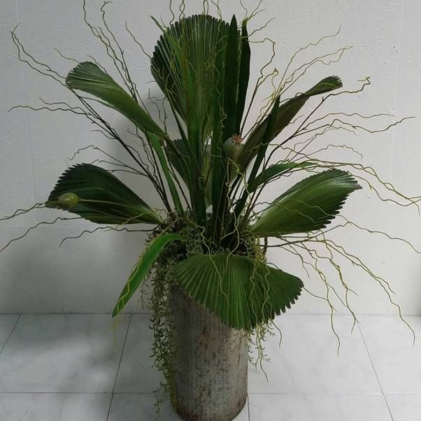 Image for Designs By Carmen with ID of: 2318317