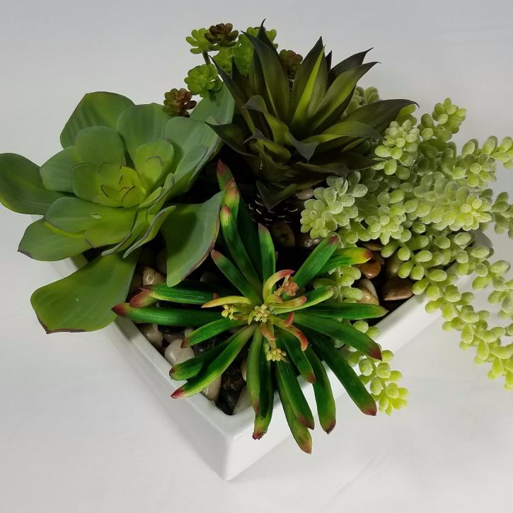 Image for Designs By Carmen with ID of: 2318319