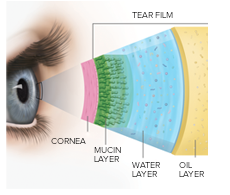 Image for Dell Laser Consultants with ID of: 2319457