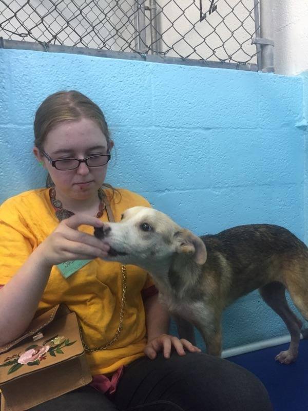 Image for Jazzy's Pet Care with ID of: 2320247