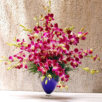 Image for Spring Blossoms Flower Shop with ID of: 2325742