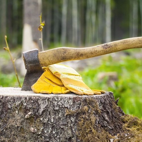Image for Treemaster Inc. with ID of: 2329083