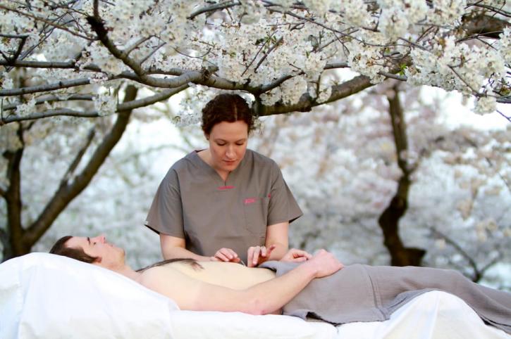 Image for Cherry Blossom Healing Arts with ID of: 2329262