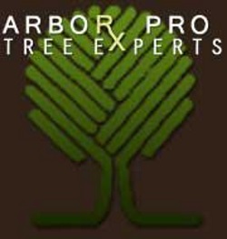 Image for Arbor-Pro Tree Experts with ID of: 2330000