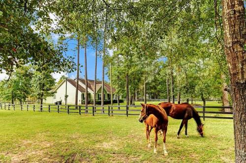 Image for Homes-Magnolia-TX with ID of: 2331577