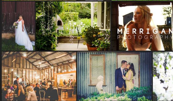 Image for Merrigan Photography with ID of: 2334073