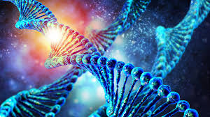 Image for Electroactive Polymers Market to Exceed 5.12 Billion USD by 2022 with ID of: 2336762