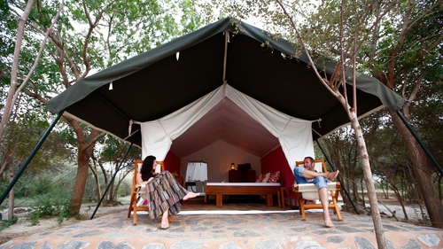 Image for Camping in Rajasthan with ID of: 2337381