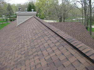 Image for Brunette Home Improvement with ID of: 2343672