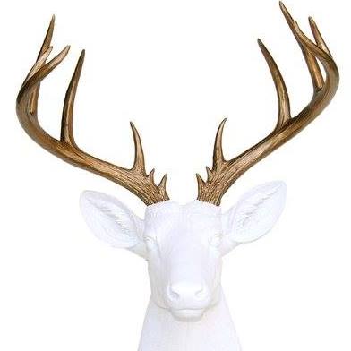Image for The Trophy Room with ID of: 2345150