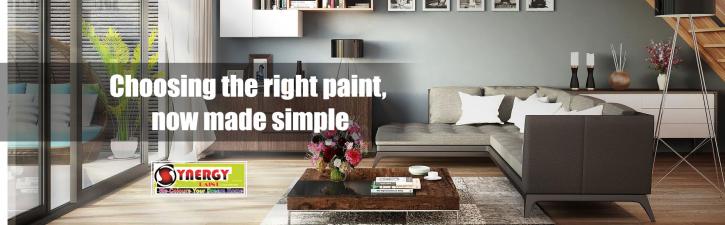 Image for Synergy Paint with ID of: 2345873
