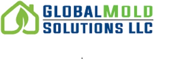 Image for Global Mold Solutions with ID of: 2348011
