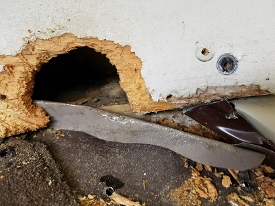 Image for Pest Proof Pest Management with ID of: 2352531