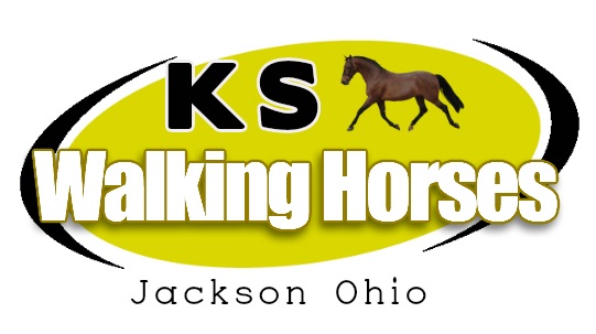 Image for KS Walking Horses with ID of: 2352935