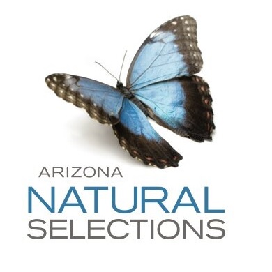 Image for Arizona Natural Selections with ID of: 2353252