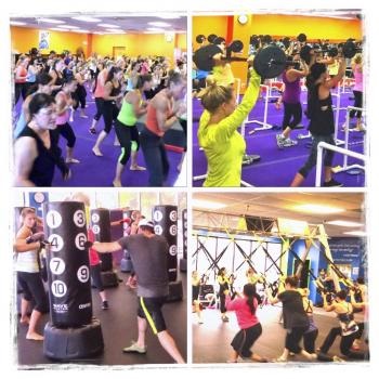 Image for Shell Shock Fitness with ID of: 2353714