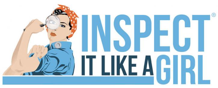 Image for Inspect It Like A Girl with ID of: 2354383