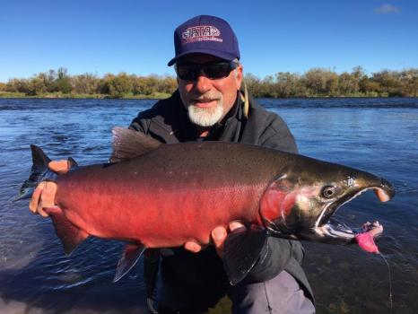 Image for Alaska Trophy Adventures Lodge with ID of: 2356679