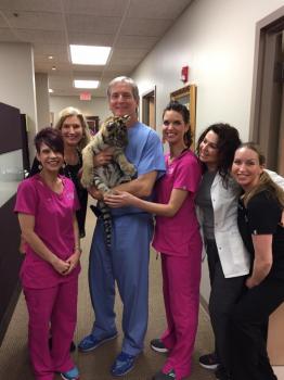 Image for Tim R. Love, M.D. with ID of: 2356762