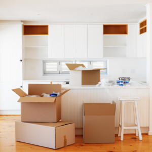 Image for Itzhak Y Movers with ID of: 2356844