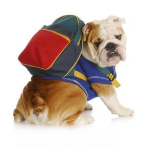 Image for Pacific Pet Resort with ID of: 2357245