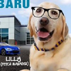 Image for Valley Subaru with ID of: 2357878