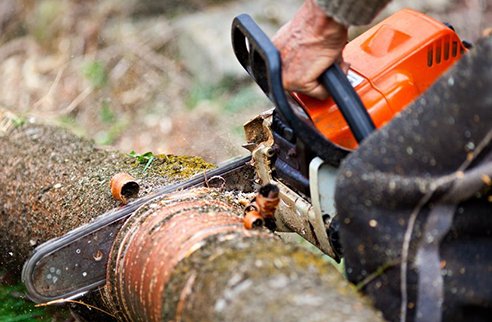 Image for Georgia Tree Company - Tree Removal Services Gainesville with ID of: 2358676