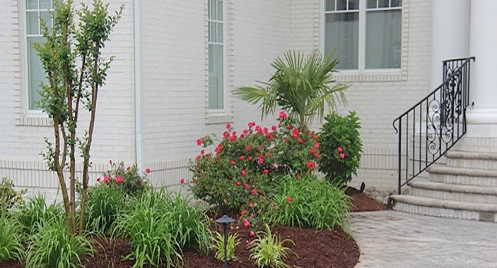 Image for Newell Lawn and Landscape with ID of: 2359072