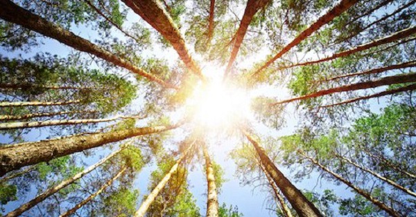 Image for LendGenius with ID of: 2359276