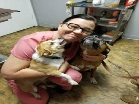 Image for Baycrest Animal Clinic with ID of: 2360697