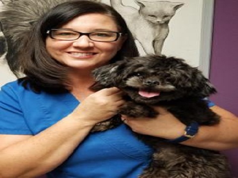 Image for Baycrest Animal Clinic with ID of: 2360699