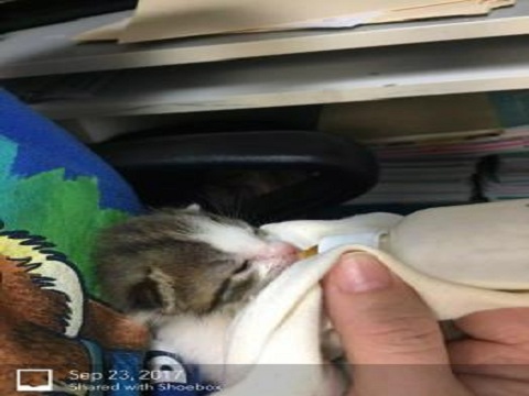Image for Baycrest Animal Clinic with ID of: 2360701