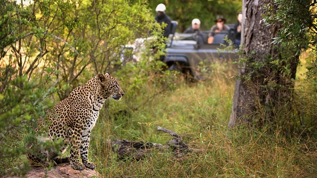 Image for Safari Books Online with ID of: 2361997
