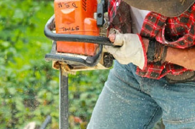 Image for Tree Removal Raleigh NC Pro with ID of: 2362261