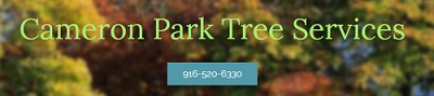 Image for Cameron Park Tree Services with ID of: 2362284
