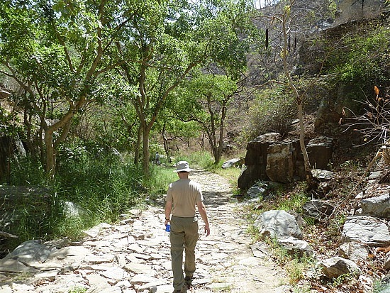 Image for Kumbhalgarh National Park with ID of: 2365040