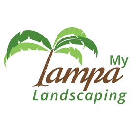 Image for My Tampa Landscaping with ID of: 2365419
