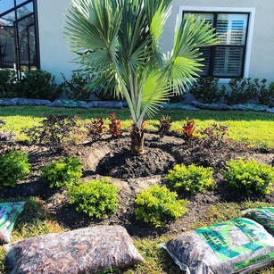 Image for My Tampa Landscaping with ID of: 2365422