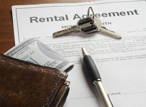 Image for Absolute Property Services with ID of: 2366223